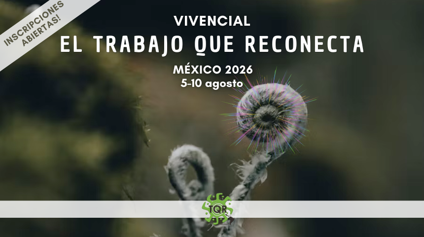 Vivencial home page